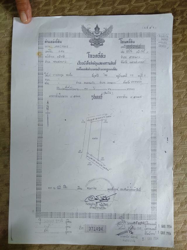 ขายโคกหนองนา 10 ไร่ เหมาะสำหรับเป็นที่พักอาศัย ทำเกษตรพอเพียง 2
