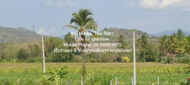 DSL-1017 ขาย ที่ดิน ขายที่ดินเปล่า หนองหญ้าปล้อง จ.เพชรบุรี (ใกล้ทางหลวง 3510 และ 1015) 32-0-76 ไร่ ราคา 17 ล้านบาท ใกล้ 7