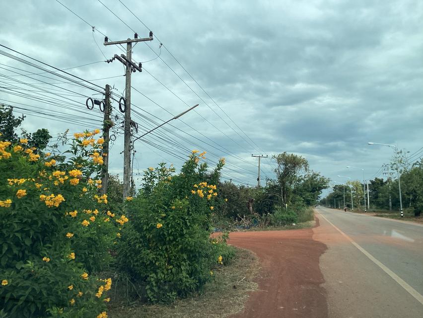 ขายที่ดิน76ไร่เพื่อโครงการโซล่าเซลล์ใน จ.สกลนคร 3