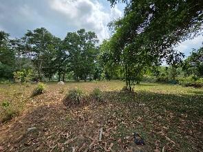 Land for Sale in kathu Phuket 6