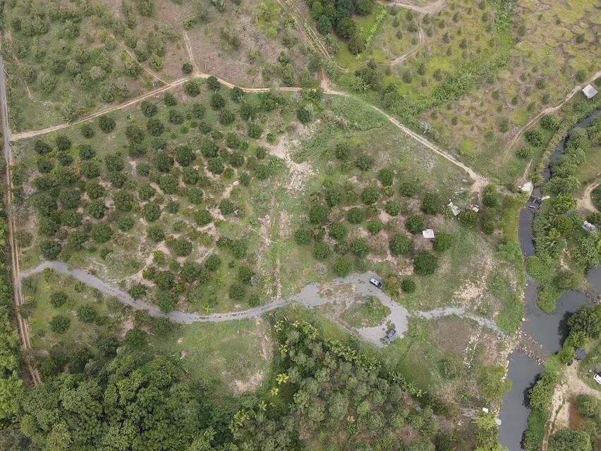 ที่ดินสวนทุเรียน ติดน้ำตกทุ่งเพล อ.มะขาม จ.จันทบุรี 10 ไร่ ขายราคา 16 ล้านบาท สนใจติดต่อ 085-1210072 คุณสุ 2