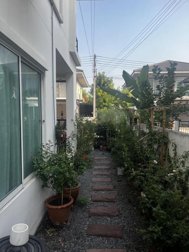 ขายบ้านภัทรีดา วิลล่า ปทุมธานี 2 11