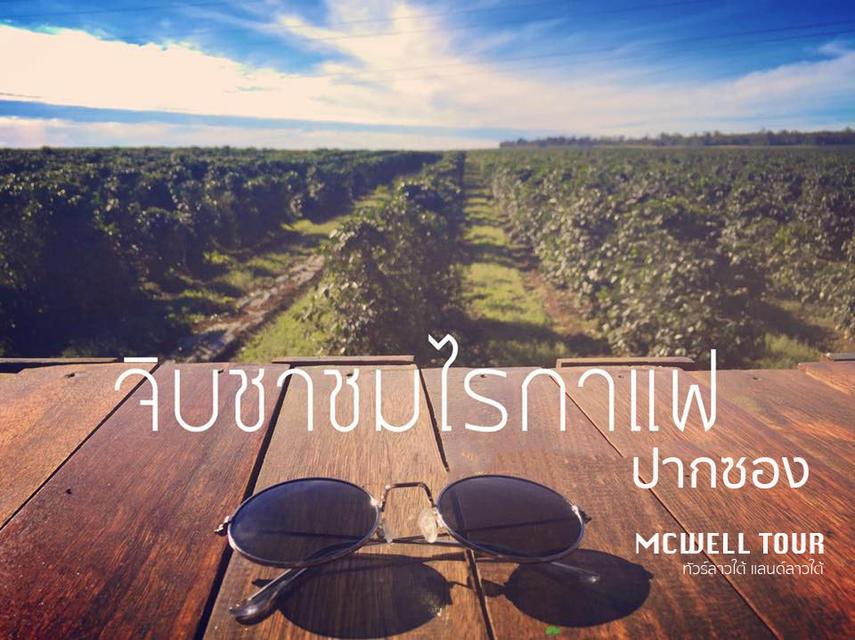 ทัวร์ลาวใต้ แลนด์ลาวใต้ ไปกลับ 1 วัน เที่ยวเมืองปากซอง Zip Line น้ำตกตาดฟาน ชิมกาแฟพูเพียงโบลาเวน 7