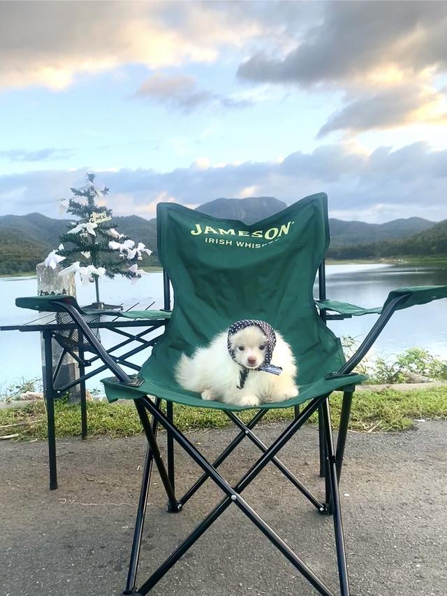 ปอม ชายจริงหญิงแท้ น่ารักๆ 12