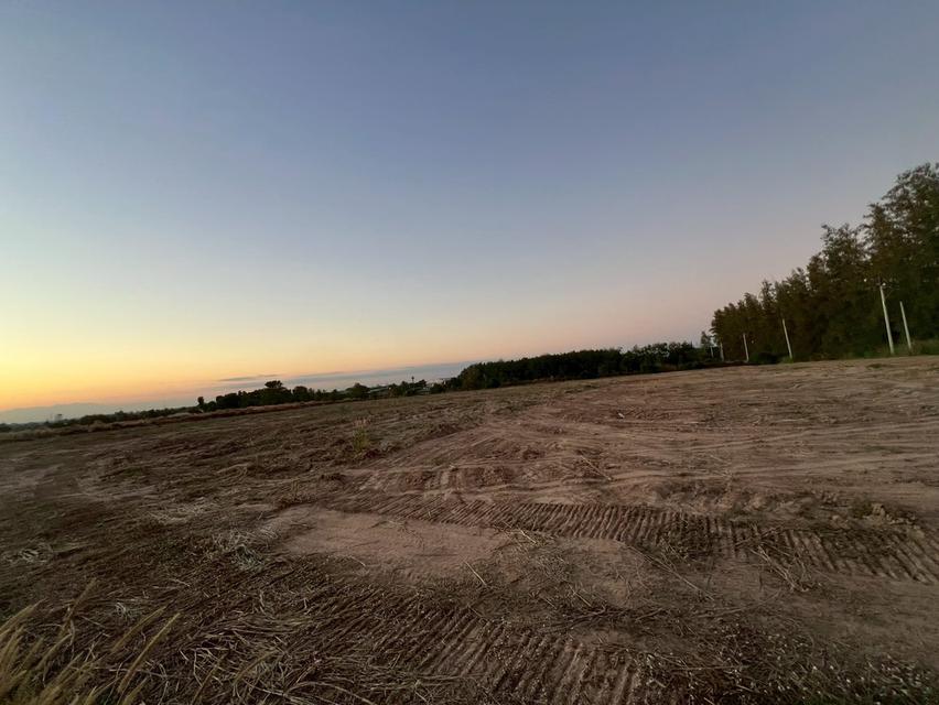 ขายที่ดินหนองเหียง 15 ไร่ บ้านไทรคู่ซอย14 ใกล้ถนนเส้น331-9กม. อ.พนัสนิคม จ.ชลบุรี 4