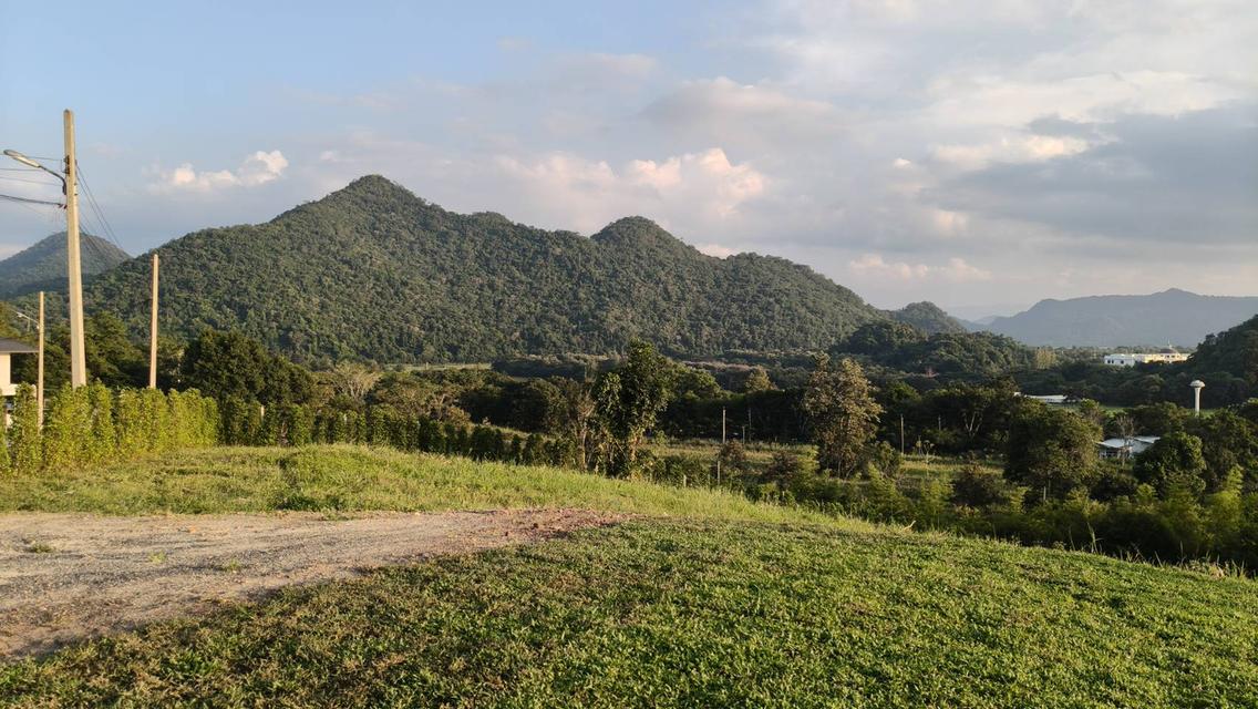 ขายบ้านเดี่ยวสุขุมวิท71 ปรีดีพนมยงค์26 121ตร.ว แปลงมุมสวย 4ห้องนอน 736ตร.ม ใกล้ BTSพระโขนง เอกมัย จอดรถได้หลายคัน เหมาะทั้งพักอาศัย Home office 5