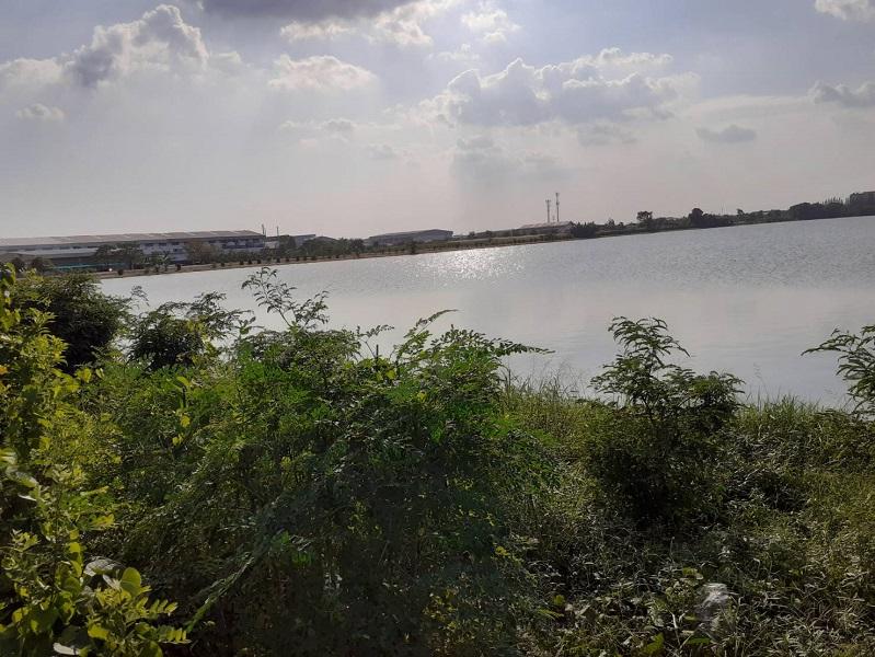 ขายที่ดิน 63 ไร่ 230 ตรว. ถนน 3075 ต.บางพลีใหญ่ อ.บางพลี จ.สมุทรปราการ 6