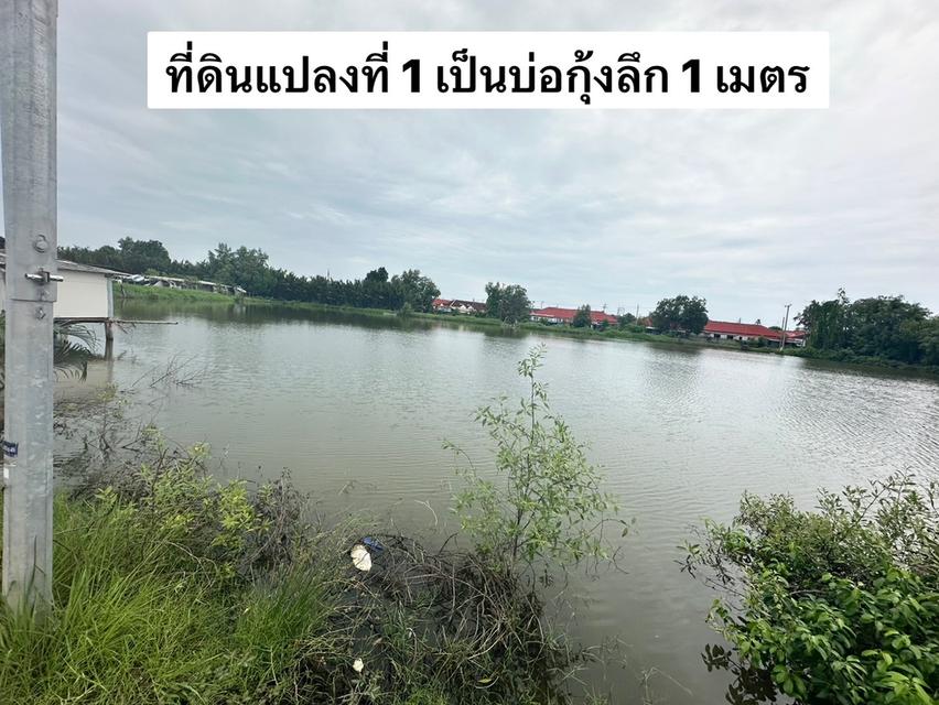 ขายที่ดิน ในคลองบางปลากด สมุทรปราการ
