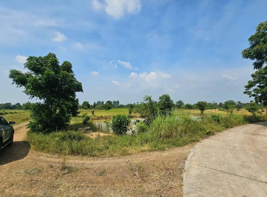 ขายที่ดิน 5แปลง ลำสนธิ จังหวัดลพบุรี ติดถนนสาธารณะ 3 ด้าน 2