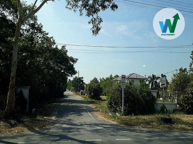 ขายถูกที่ดินสวย บ้านสวนศรีปทุมใกล้ดรีมเวิลด์ 2