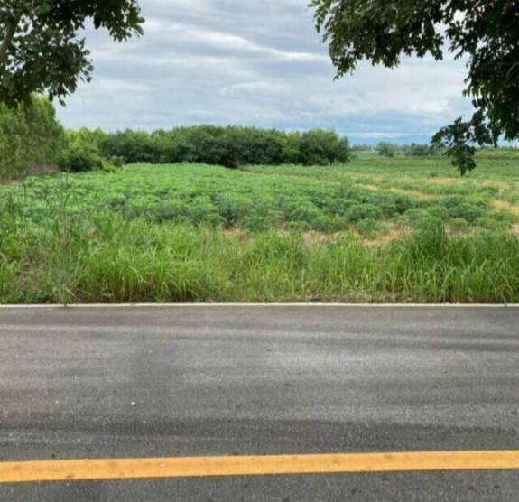 ขายที่ดินสวยราคาถูก ในตำบลไตรตรึงษ์ อำเภอเมืองกำแพงเพชร ติดถนนสองด้าน ติดทางสาธารณะ 6