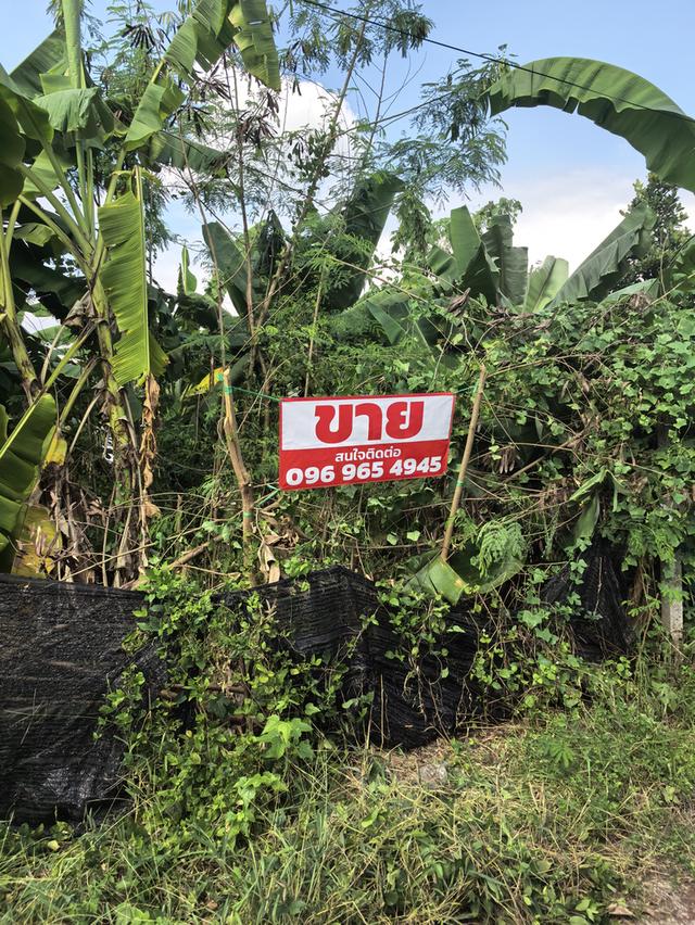 ที่ดินคลอง11 รังสิตนครนายก หมู่บ้านนริศรา 70ตรว. 2