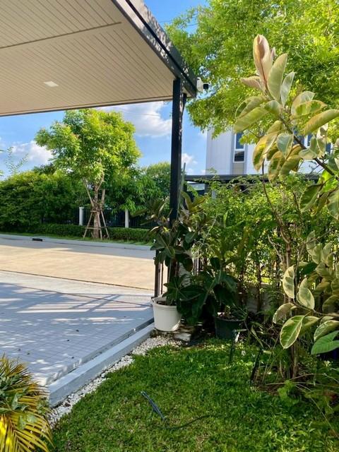 ให้เช่า ขาย บ้านแฝด 2 ชั้น Grande Pleno Mega Bangna แกรนด์ พลีโน่ เมกา บางนา บ้านสวย สภาพใหม่ 6