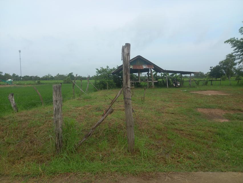 ที่ดิน 4