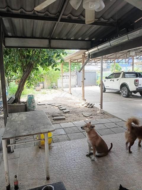 ขายด่วนบ้านเดี่ยว 1 ชั้นครึ่ง 105 ตรว. ย่านหัวยขวาง ประชาราษฎร์บำเพ็ญ 26 ขายตามสภาพ ** ถูกสุดในย่านนี้ ขายต่ำกว่าราคาประ 5