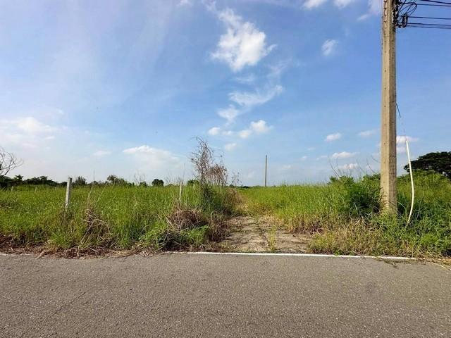 ขายที่ดินเปล่า เนื้อที่ 153 ตารางวา ซอยบึงบอน 3 ถนนเลียบคลอง 8 ตะวันออก ตำบลบึงบอน อำเภอหนองเสือ จังหวัดปทุมธานี 5