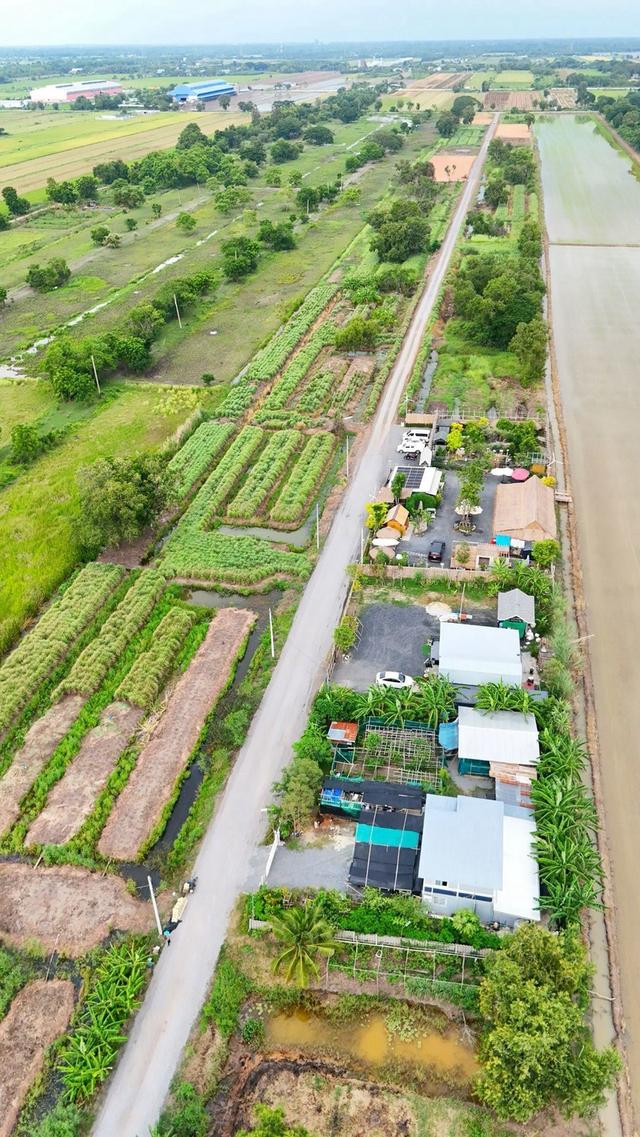 ขายที่ดินถมแล้วราคาถูกตำบล คลองหก อำเภอคลองหลวง ปทุมธานี 10