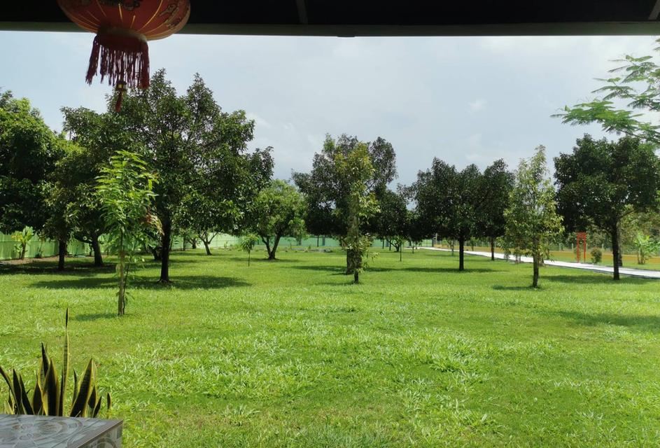 ขายบ้านเดี่ยวสไตร์ยุโรป 2 ห้องนอน ในทำเล คลองปูน แกลง, ระยอง 19