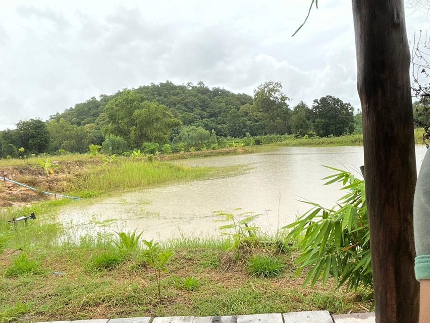 ขายโคกหนองนา 10 ไร่ เหมาะสำหรับเป็นที่พักอาศัย ทำเกษตรพอเพียง 3