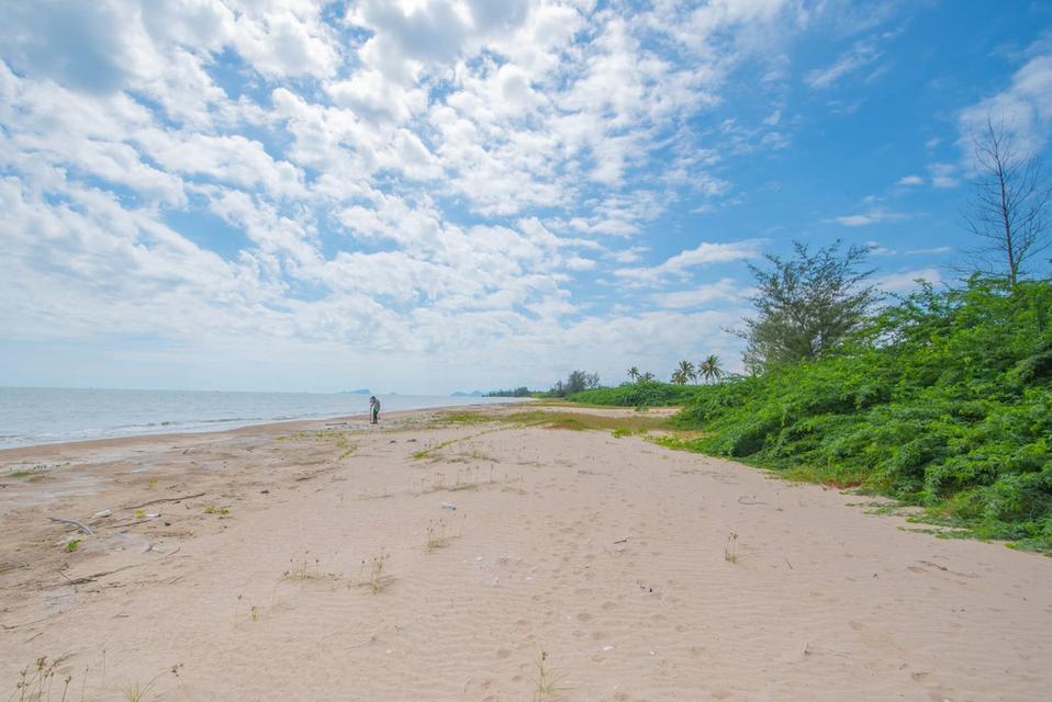 ที่ดินกุยบุรี 2แปลง แปลงละ 287 ตารางเมตร  14