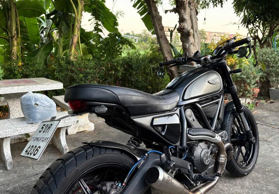 ขาย Ducati Scrambler 800 ปี 2015 รถสภาพดีขับนิ่มๆ 2