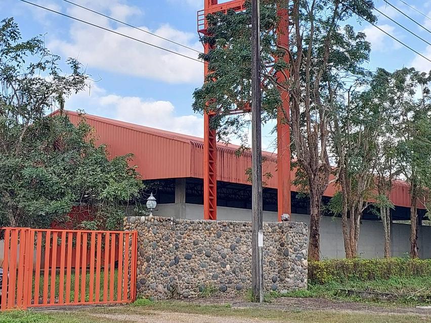 ขาย/ให้เช่าที่ดินเชียงราย 2