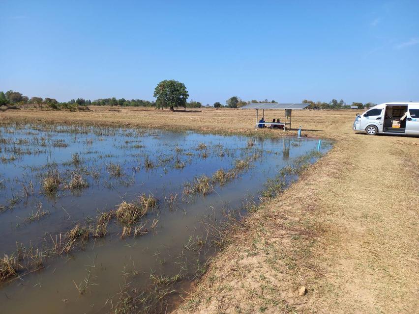 ที่ดินในจังหวัดบุรีรัมย์ 6