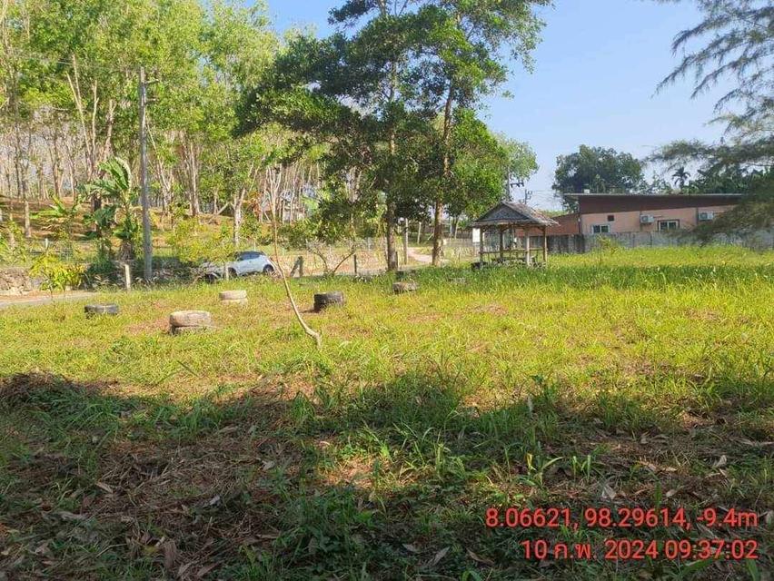 Land for sale near Naithon beach Phuket 12