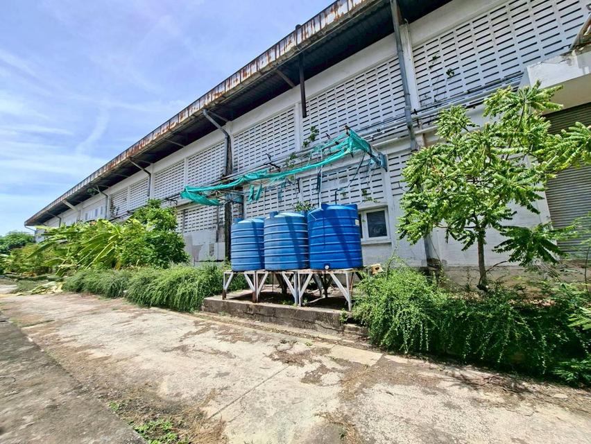 ให้เช่าโกดัง ชั้น 1 บางนา-ตราด กม. 38 ผังสีม่วง พื้นที่เยอะ ใกล้นิคมเวลโกรว์ (N.2355) 15