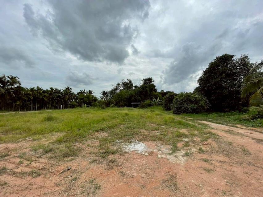 ขายที่ดินตาขัน 1 ไร่ ถมแล้ว ใกล้ตลาดสดบ้านค่าย9กม. ใกล้ถนนเส้นเชิงเนิน-ชากบก1.6กม. อ.บ้านค่าย ระยอง 5