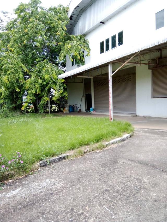 Land and buildings for sale, good location, 100 meters from the main road, Phimai District, Korat. 2