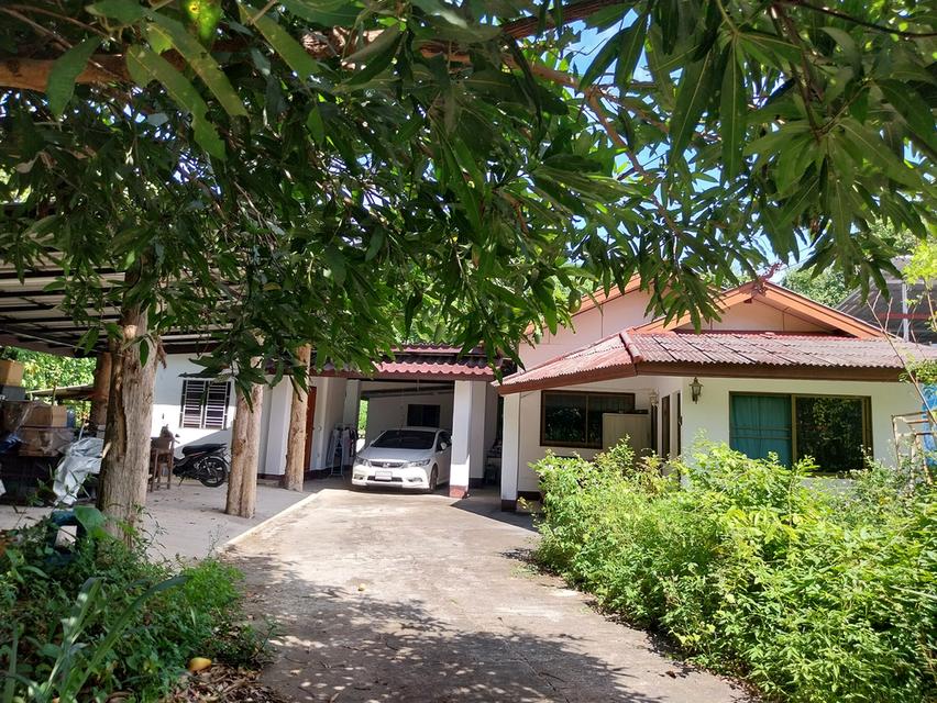 บ้านเดี่ยว อ.หางดง จ.เชียงใหม่ 1