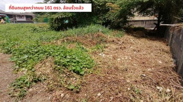 ขายที่ดินประชาชื่นงามวงค์วาน 161 ตรว.เข้าซอยแค่ 130 เมตร ใกล้ ม.ธุรกิจบัณฑิต/The mall/พันทิพ์งามวงค์วาน ต.บางเขน อ.เมือง 1