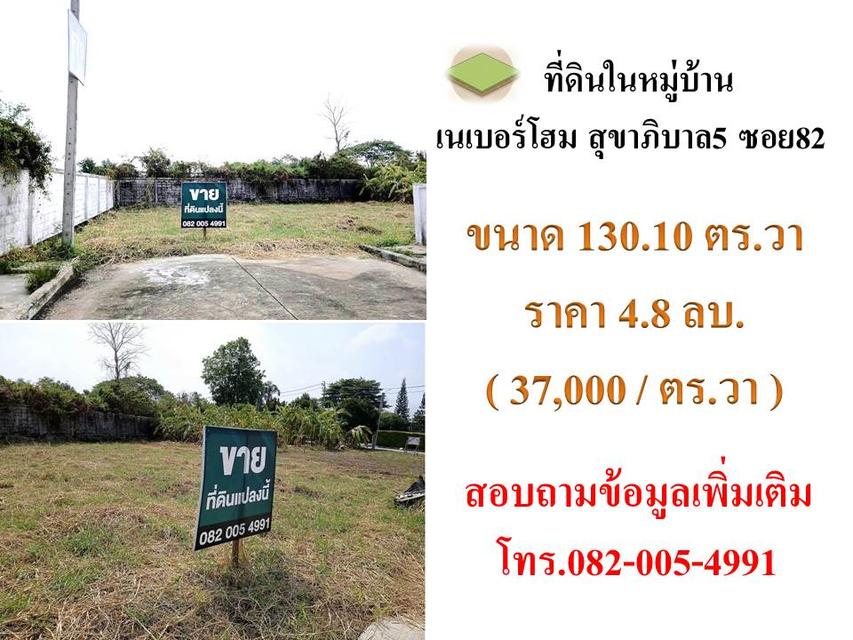 ขายที่ดินในหมู่บ้านเนเบอร์โฮม สุขาภิบาล5 1