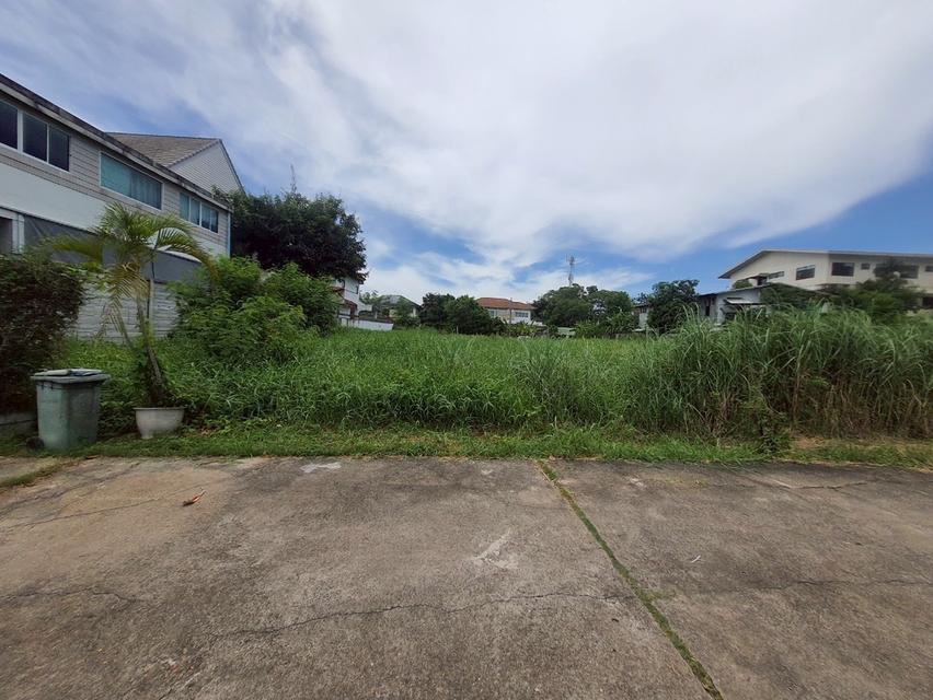 ที่ดิน 6