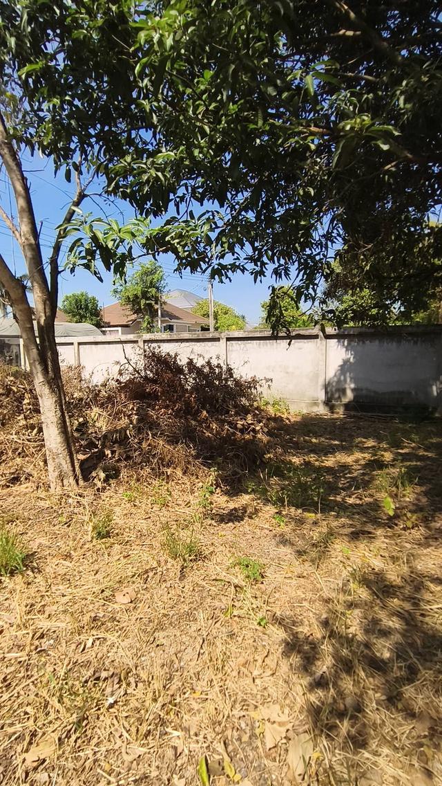 บ้านพร้อมที่ดินใจกลางบางแสน ขนาดเกือบไร่ 18