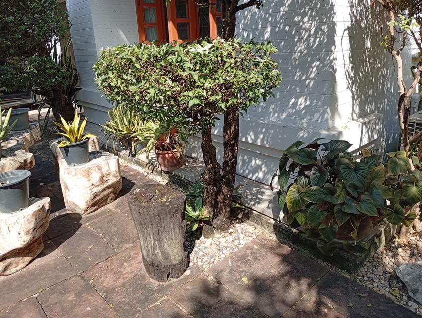 ขายถูก บ้านมือสอง ย่านลาดพร้าว 4