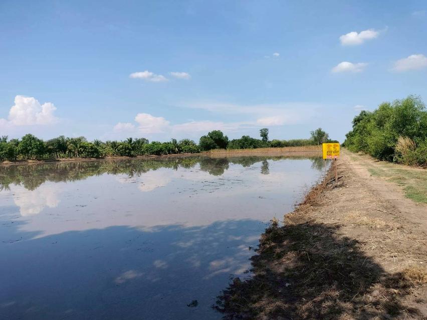 ขายด่วนที่ดิน 765 ตรว ติดถนนสาธารณะ เลียบคลองสิบสามฝั่งตะวันออก 38 หนองจอก กทม. 3