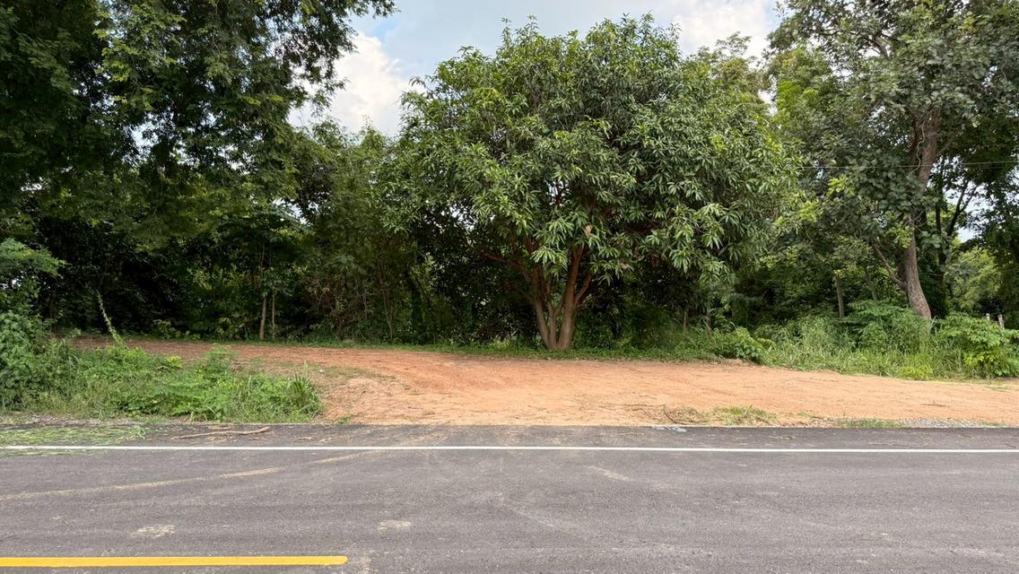 บ้านสวนผสมผสาน 28-0-65 ไร่  ซื้อวันนี้ได้ป่าพะยูง+ไม้เนื้อแข็งหลายชนิดอายุเกินสิบปี + สวนยางพารา 3