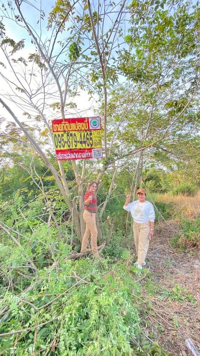 Vายถูกที่สุด ที่ดินติดถนนเลียบคลองสิบสี่  2 ไร่ ทำเลดี มีอนาคต นักลงทุนไม่ควรพลาด อ.หนองเสือ จ.ปทุมธานี 1