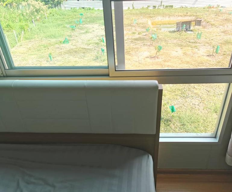 ให้เช่าคอนโด แจ้งวัฒนะ 6