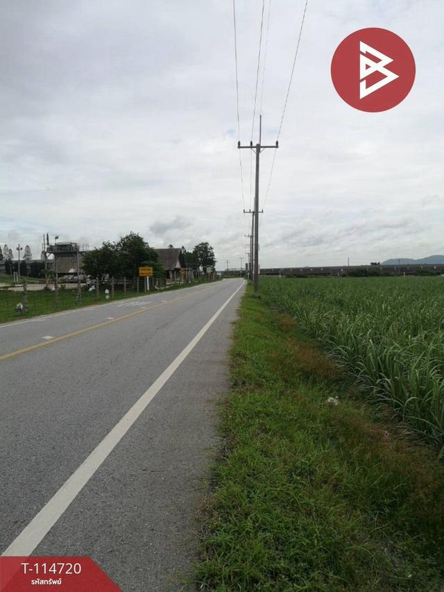 ขายที่ดิน โครงการฯ เนื้อที่ 21 ไร่ 5.0 ตร.วา อ.บ้านบึง ชลบุรี 7