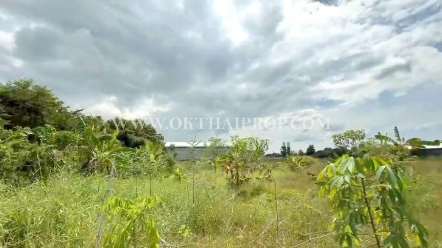 ที่ดิน ใกล้ถนนพิษณุโลก-หล่มสัก อ.วังทอง จ.พิษณุโลก 6