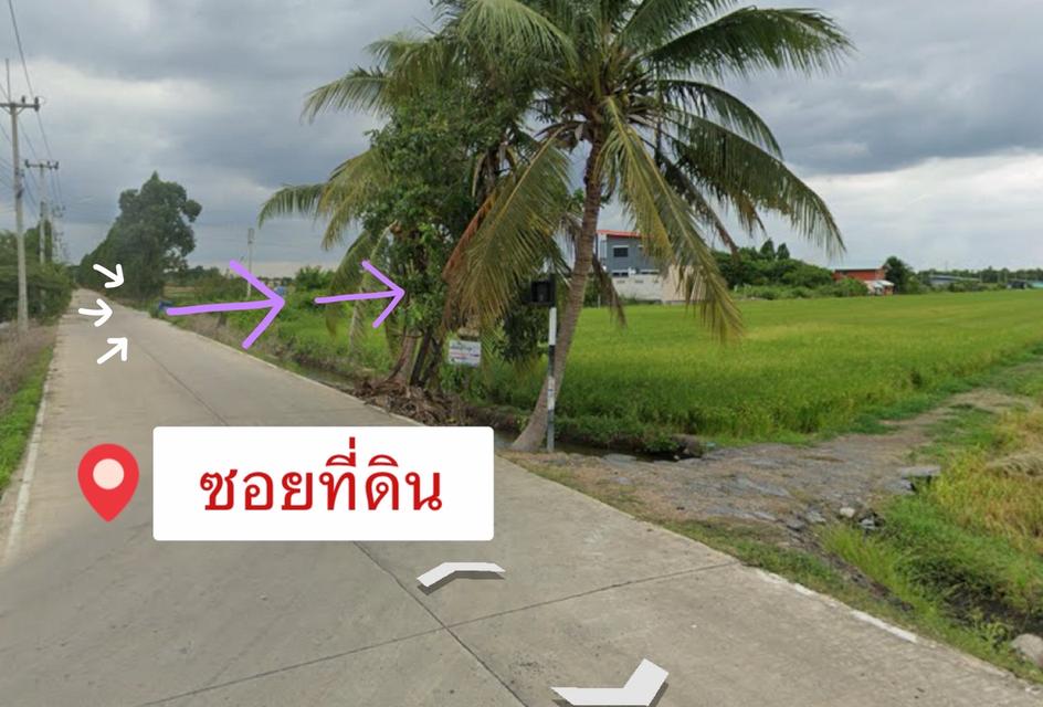 ที่ดิน จ.ปทุมธานี อ.สามโคก ต.คลองควาย 4