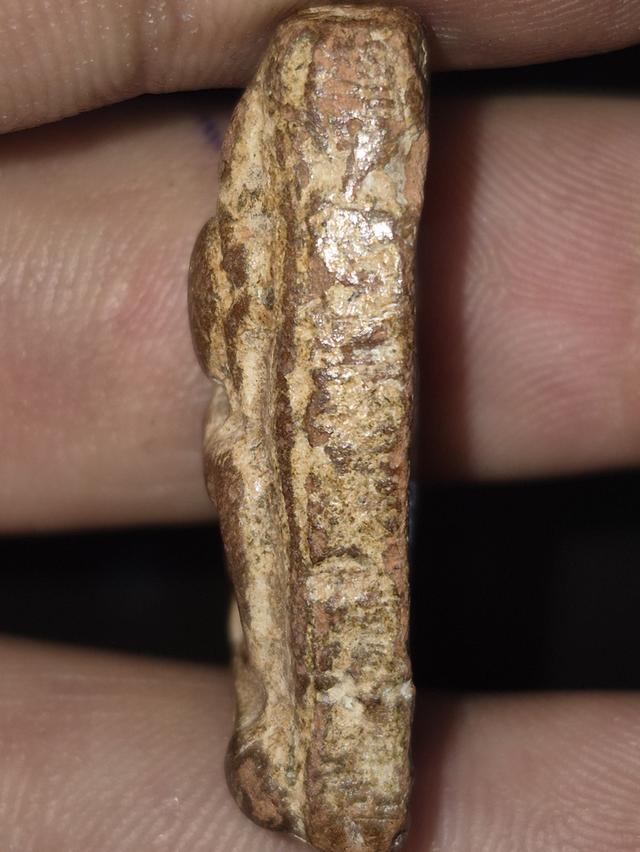 พระนางพญาเข่าตรง พิษณุโลก รูปที่ 3