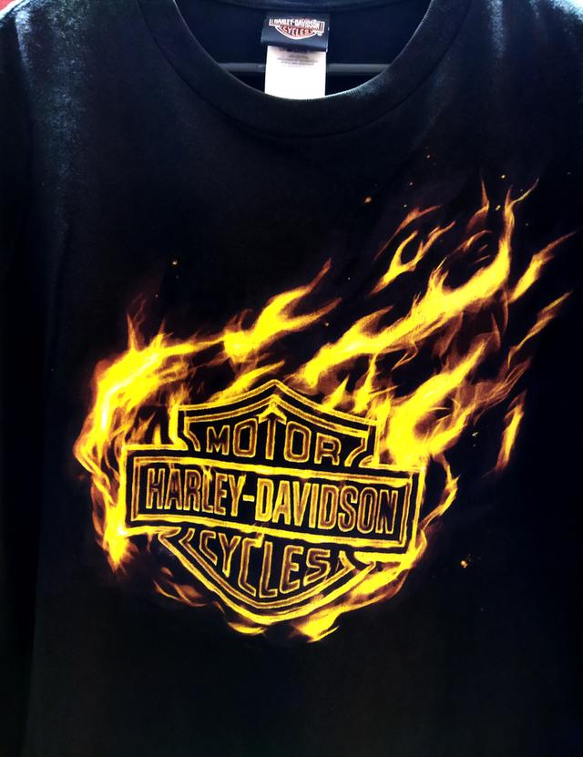 เสื้อยืด ฮาร์เลย์ เดวิดสัน Harley Davidson ตอกปี2010 size L สภาพ8/10 รูปที่ 3