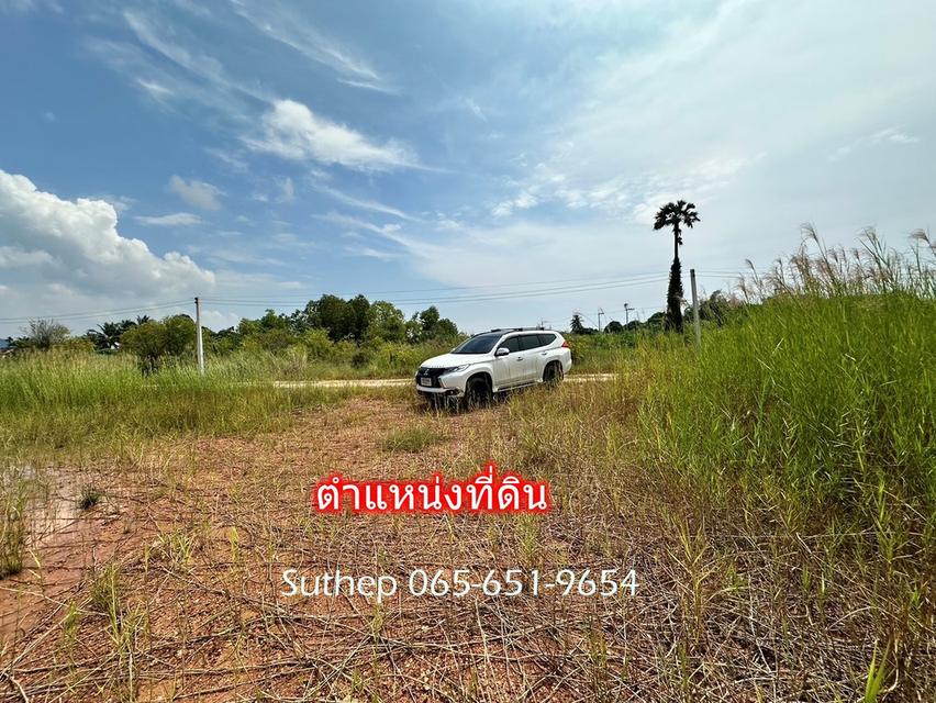 ขายที่ดินถมแล้ว 1-3-38 ไร่ ใกล้หาดแม่รำพึง 1 กม. ไฟฟ้า ประปาพร้อม ตะพง ระยอง 12