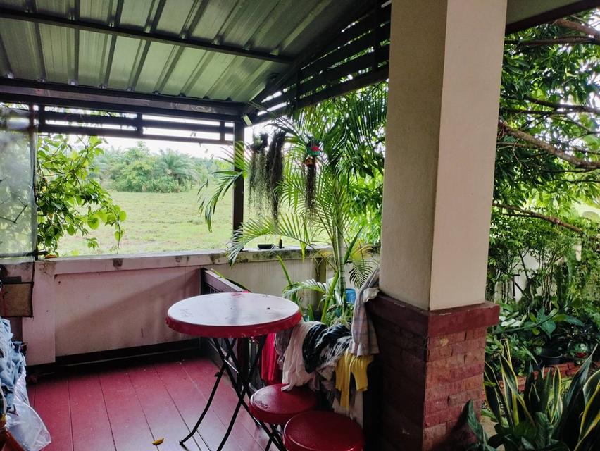 บ้านเดี่ยวโครงการบ้านหน้าสวนละงู จังหวัดสตูล 5