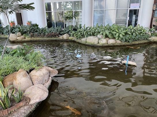 ขาย Condo Pattaya ติดทะเล, Park Beach Condominium, หาดวงศ์อมาตย์, Fully Furnished, ราคาพิเศษ 2.79 ล้านบาท  10