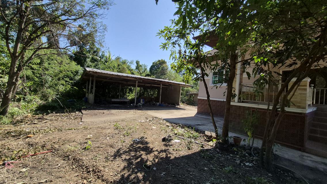 🔥🏡 บ้านพร้อมที่ดินผืนใหญ่ ใกล้ถนนใหญ่ ราคาโคตรคุ้ม! 🏡🔥 💥 เพียง 2.5 ล้าน ได้ทั้งบ้าน + ที่ดินกว่า 2 ไร่! 📣 โอกาสนี้ไม่ได้มีบ่อย! ใครกำลังหาบ้านพื 4